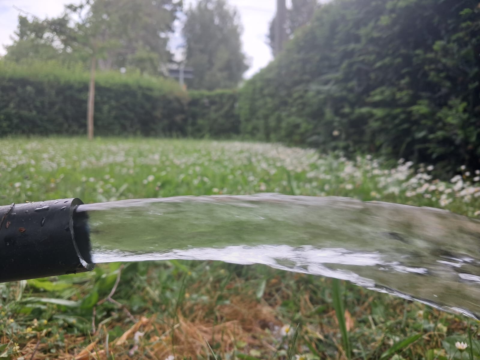 Wasser aus dem Brunnen